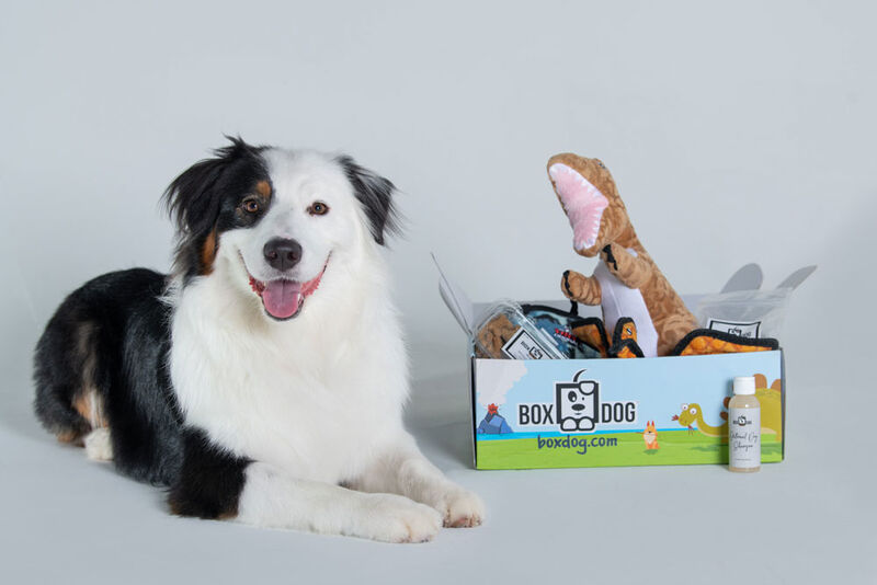 dog-subscription-boxes