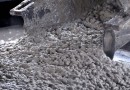 Открываем производство бетона