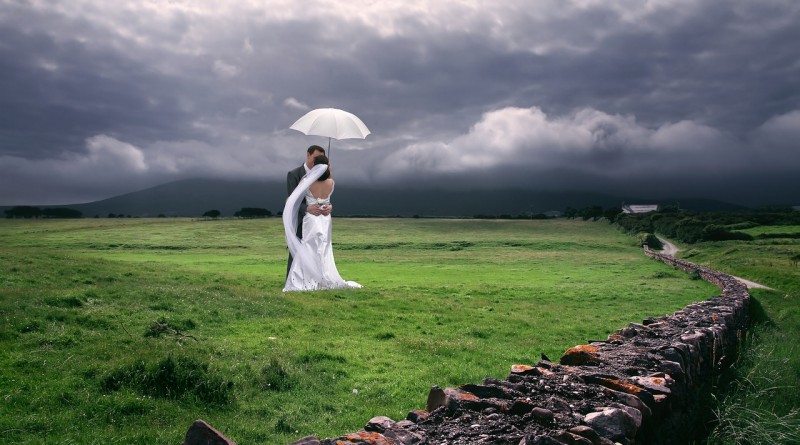 Свадебная фотография - ниша, в которой могут работать и начинающие, и профессиональные фотографы