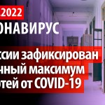 Коронавирус, 25 сентября. В России суточный максимум смертей от COVID-19