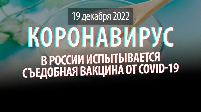 Коронавирус, 19 декабря. В России испытывается съедобная вакцина от COVID-19